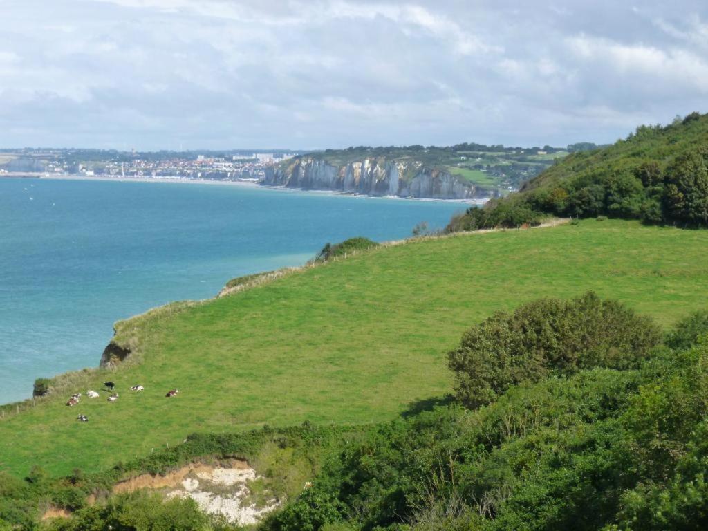 Villa Les Falaises Berneval-le-Grand Exteriér fotografie